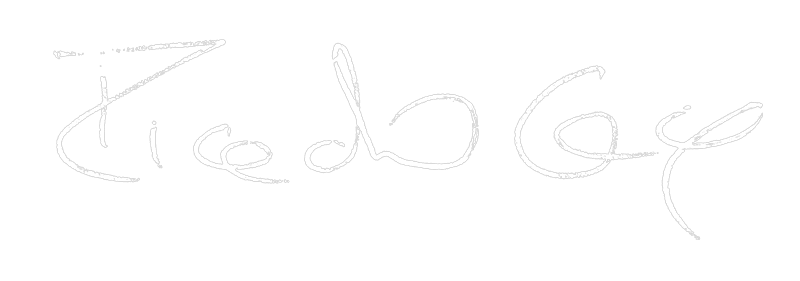Ricardo Guise Signature
